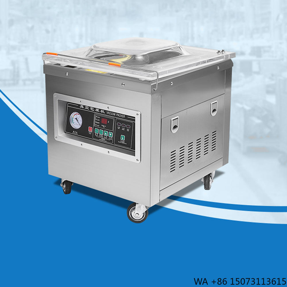 Dz-400 Professional  Desktop V - đánh giá và giá Food Vacuum Sealer