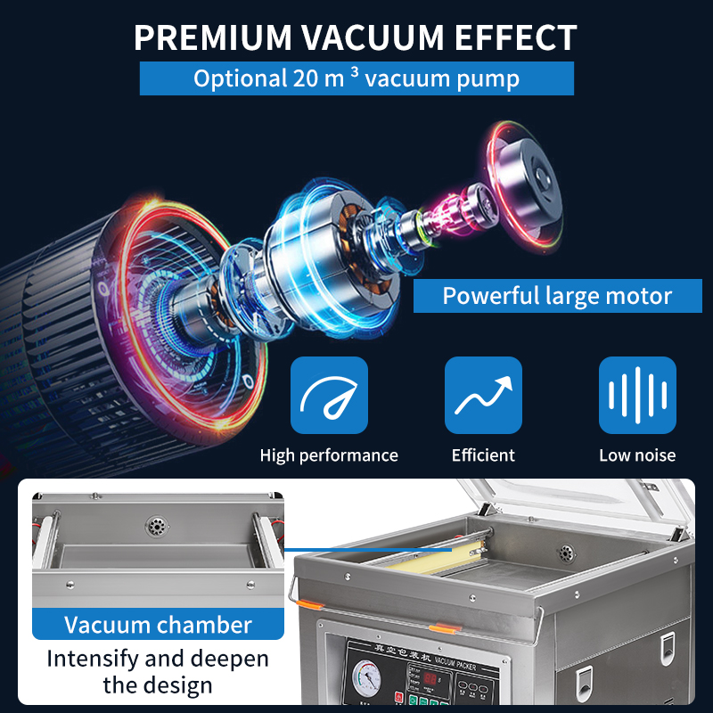 Dz-400 Professional  Desktop V - đánh giá và giá Food Vacuum Sealer