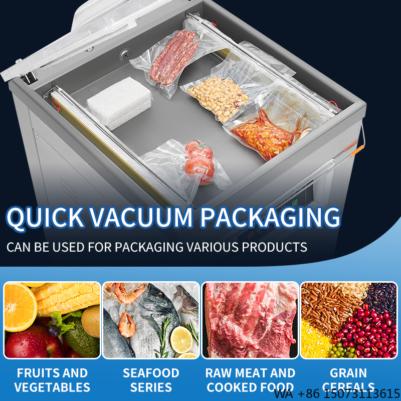 DZ-500  Vertical Single Chambe - đánh giá và giá Food Vacuum Sealer